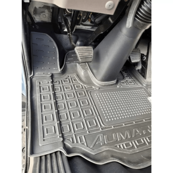 Килимки в салон для Foton Aumark (Avto-Gumm). Фото 4