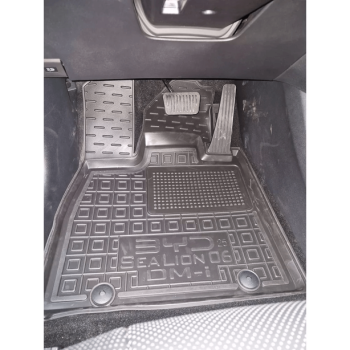 Килимки в салон для BYD Sea Lion 06 (2025-...) DM-i (Avto-Gumm)