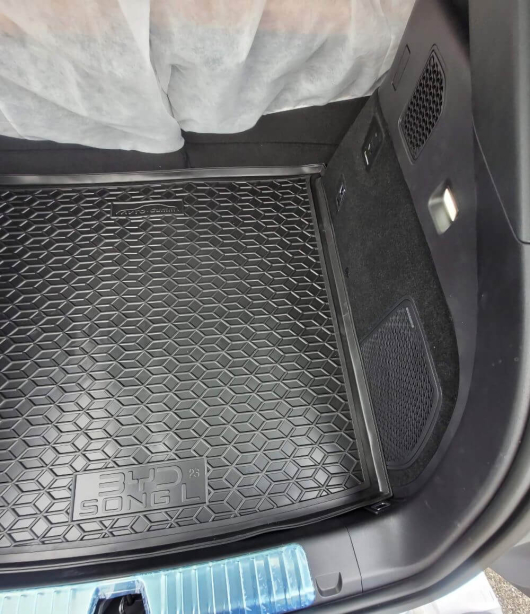 Коврик в багажник BUD SONG L (2023-...) (Avto-Gumm). Фото 3