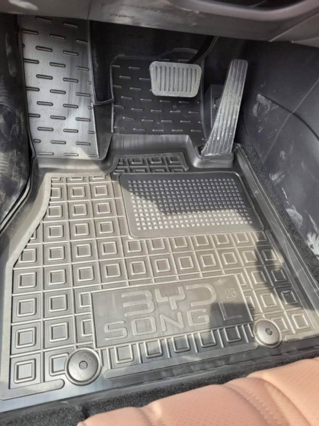 Коврики в салон BUD SONG L (2023-...) (Avto-Gumm). Фото 3