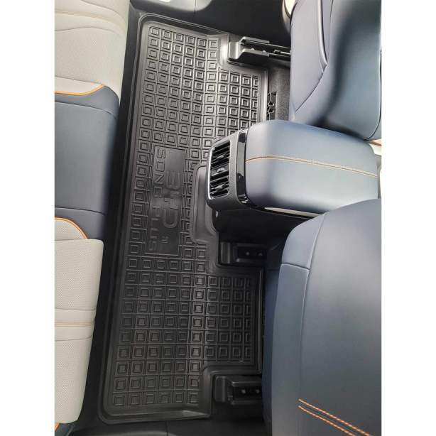 Коврики в салон BUD Song Plus EV (2021-...) Резиновые Avto-Gumm. Фото 4