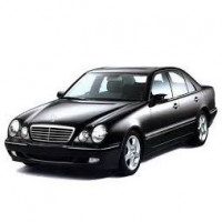 W210