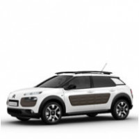 C4 Cactus